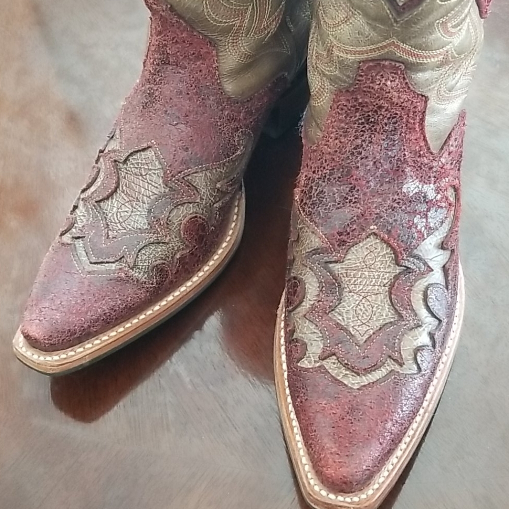 Gorgeous Ariat Boots - Picture 4 of 5